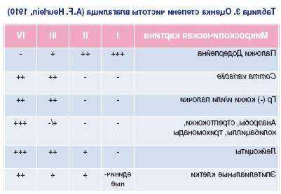 lactobacillus spp у женщин