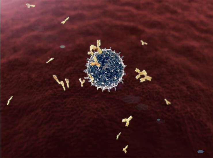 Антитела к рецепторам ТТГ - анализ крови