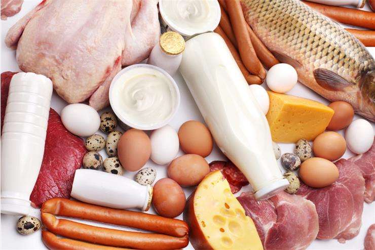 продукты богатые белком