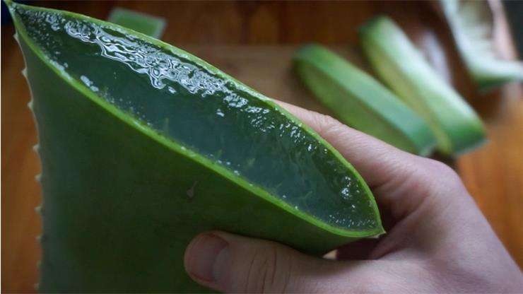 Листья