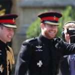 Дитяче відео з принцами Уэльскими розчулило шанувальників