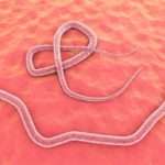 Аскариди у дітей: симптоми і лікування