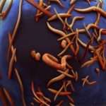 Ентеровірус у дітей – симптоми, діагностика і лікування