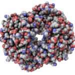 Що показує підвищений с-реактивний білок у дітей