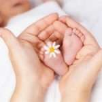 Що таке пологи лотосові