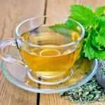 Чи можна вживати мелісу при вагітності