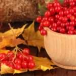 Корисні властивості та протипоказання калини для жінок