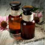 Ехінацея: користь для зміцнення імунітету дітей