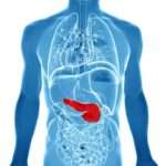 Дієта при панкреатиті підшлункової залози