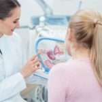 Скільки тривають фази менструального циклу і в чому їх особливості