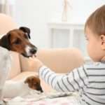 Як проявляється алергія на собак у дітей