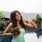 Особливості дієти для очищення кишечника