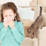 Як проявляється алергія на кішок у дітей, лікування алергії