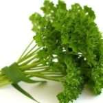 Петрушка при грудному вигодовуванні: поради та правила щодо вживання