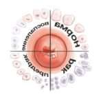 Ексцизія шийки матки: методи і наслідки