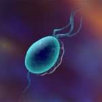 Перші ознаки й лікування трихомоніазу у жінок