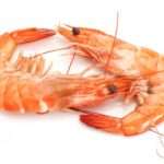 Дозволені креветки при грудному вигодовуванні