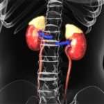 Симптоми захворювань надниркових залоз у жінок