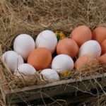 Нутриціолог розповів, скільки яєць на день можна їсти, щоб не нашкодити організму
