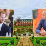 Це твоє, це моє: принци Вільям і Гаррі знову ділять королівський палац