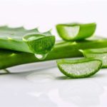 Користь і застосування алое для шкіри обличчя