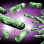 Види ботулізму у дітей: харчової, дитячий, ранової