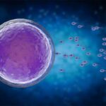 Передімплантаційна генетична діагностика ембріонів