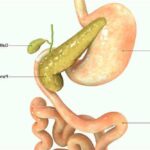 Дискінезія жовчовивідних шляхів у дітей