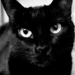 Оля полякова розповіла про шкідливі звички старшої доньки