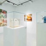 Вогонь і мох: незвичайні варіації легендарної lady dior