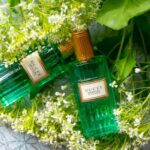 Gucci mémoire d ‘ une odeur