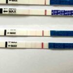 Як довго виходить хгч після бхб?