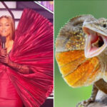 Макароніна або динозавр: тайра бенкс у кутюрній сукні перетворилася на мем