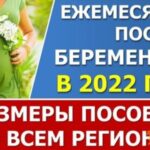 Щомісячна допомога вагітним жінкам. Розміри в 2022 році (таблиця по всіх регіонах)