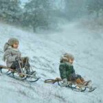 Дитячі санки: які вибрати?