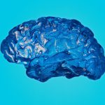 Ранние признаки болезни Альцгеймера: как заметить тревожные звоночки