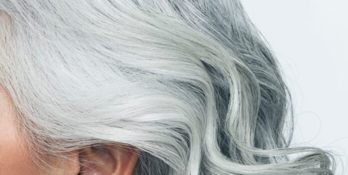 5fffa7cc-49b0-4d1c-8d17-07b5f2e02218