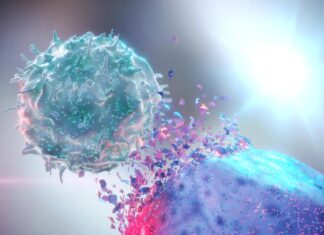 Променева терапія посилює протиракову імунну відповідь, долаючи резистентність до лікування