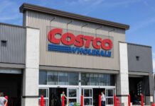 Різдвяні ялинки Costco за 20 доларів: святковий і доступний варіант