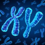 Статеві гормони та ризик серцевих захворювань: чому діабет по-різному впливає на чоловіків і жінок