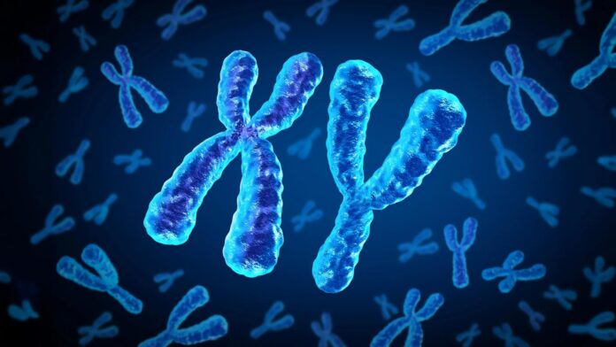 9dcd1108-ba1a-405a-ae0c-396d387885a2