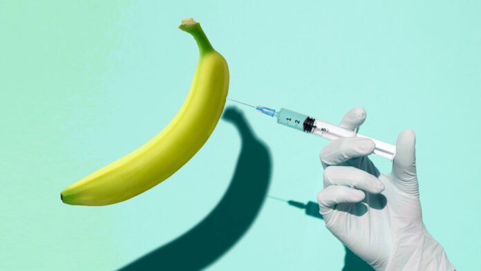 4f738333-b143-41c5-b063-ee643dcd9de5