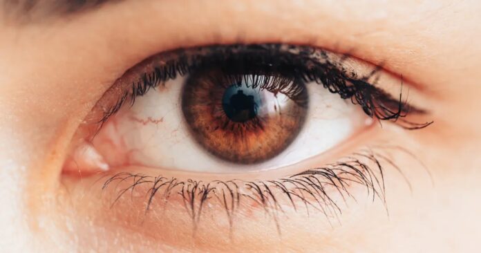 da6aa419-a475-4ba2-9e25-76ab8a4b7162