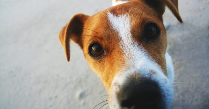 f6775650-adfa-4adb-b57a-5b9cbd86b9a9