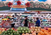 Нова міні-айсберг від Trader Joe’s: маленька знахідка з великою користю