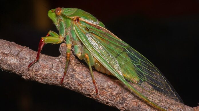 2ed30852-32bd-46e5-9320-2e22b7d873d7