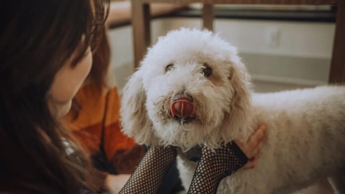 7c849332-63bc-4650-a39b-0cde16bc0dec