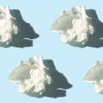 Оптимальне полегшення алергії: експертні рекомендації при сезонних стражданнях