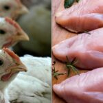 Розшифровка Пасовищної Курки: За Що Ви дійсно платите