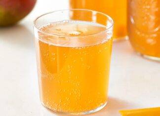 Come preparare il kombucha a casa con il sistema Bruusta in vendita